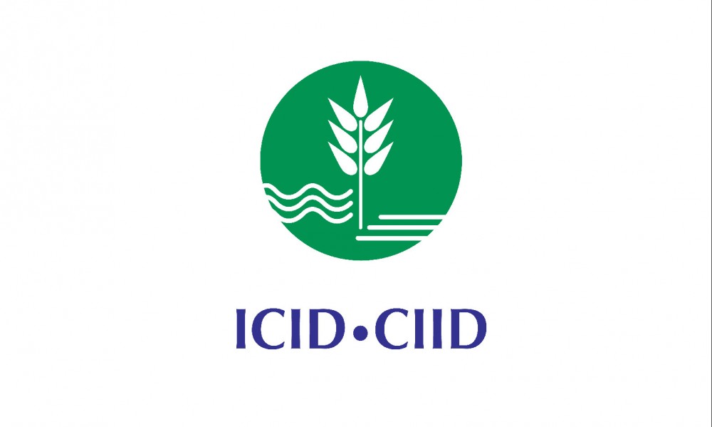 Article ICID : analyses coûts-bénéfices des cas de Clermont-Ferrand et de Cannes