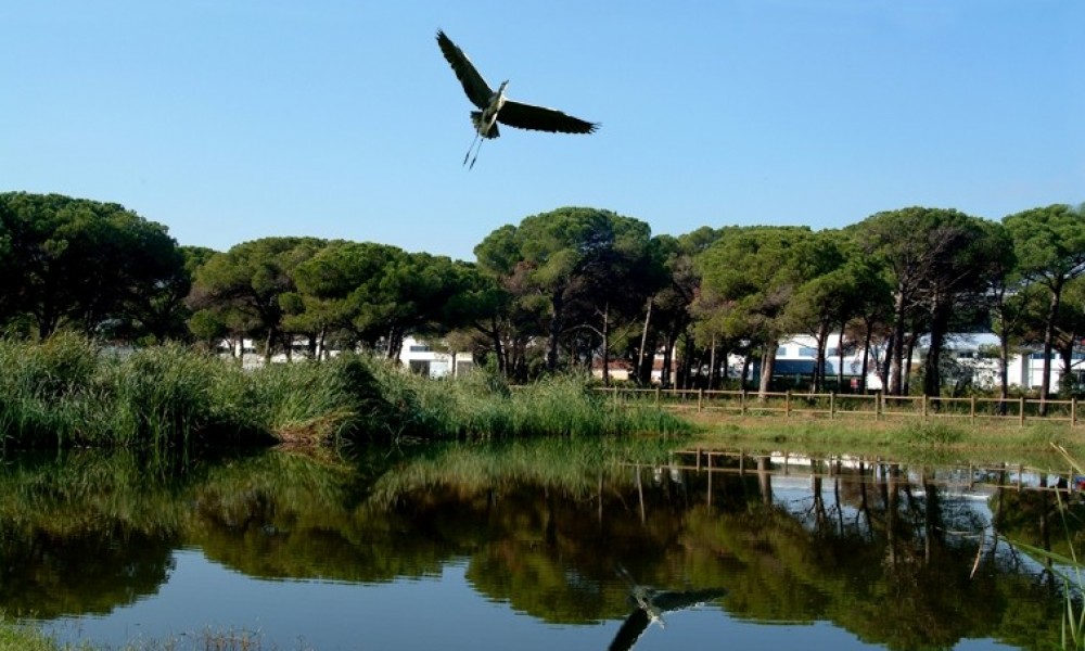 Projet ALERA