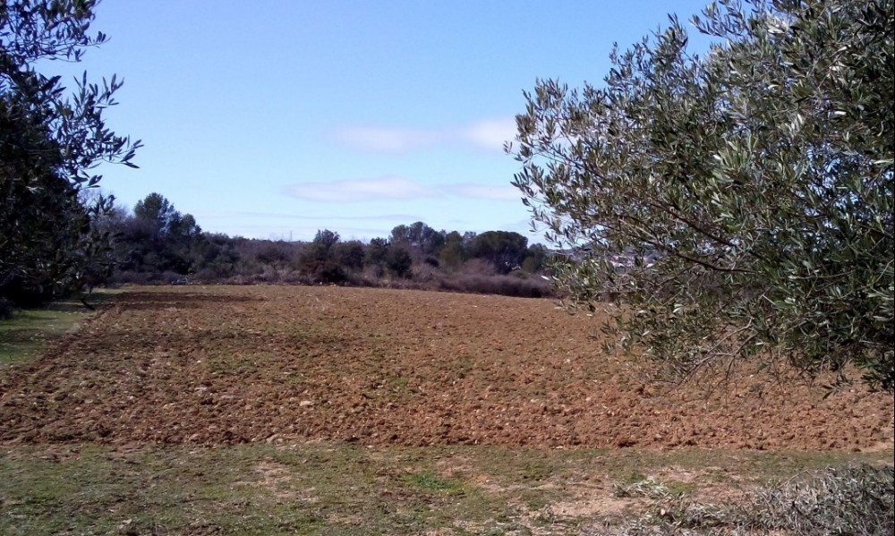 Elaboration d’un pilote Reuse (REUT) sur la commune de Murviel-lès-Montpellier