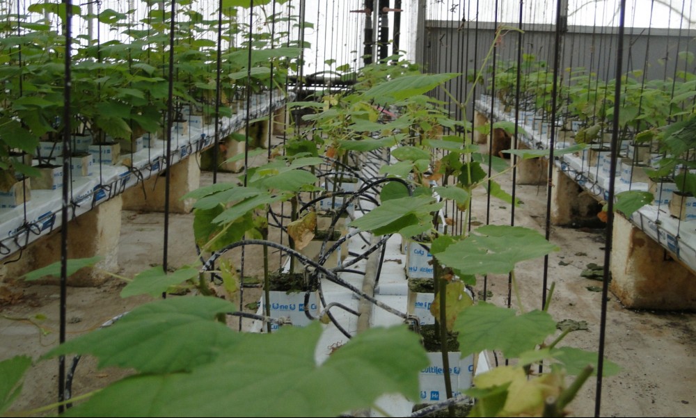 Démonstrateur agriculture